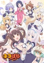 猫娘乐园