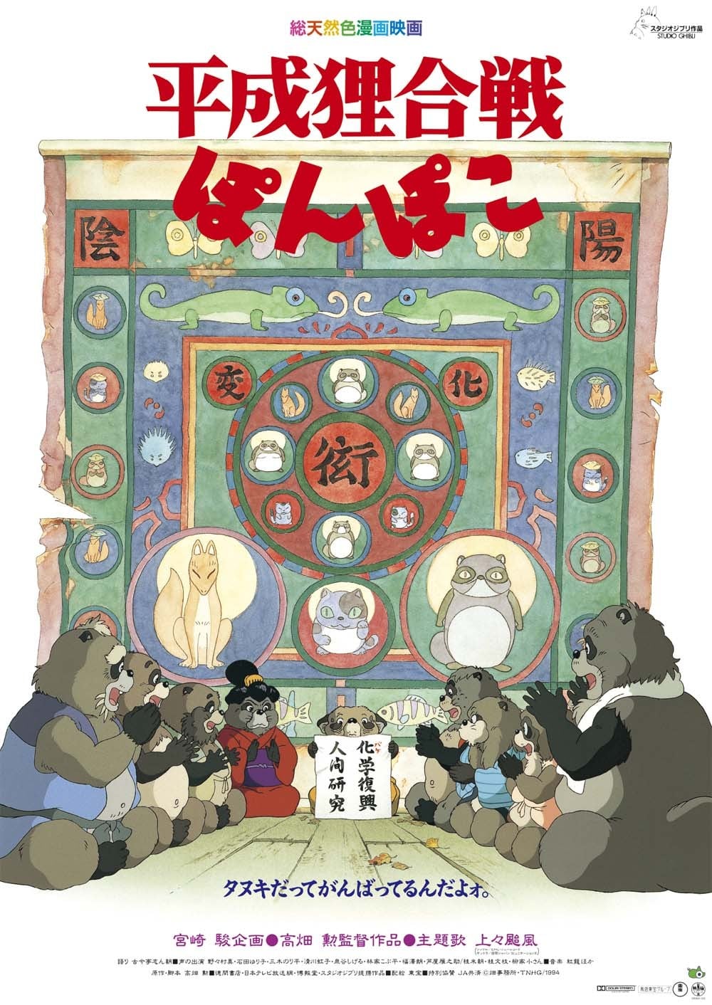 百变狸猫